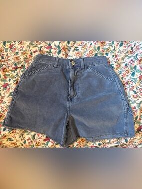 American Eagle Outfitters Blue High‑Waist Casual Shorts